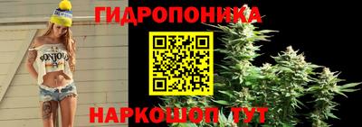 прущие грибы Среднеуральск