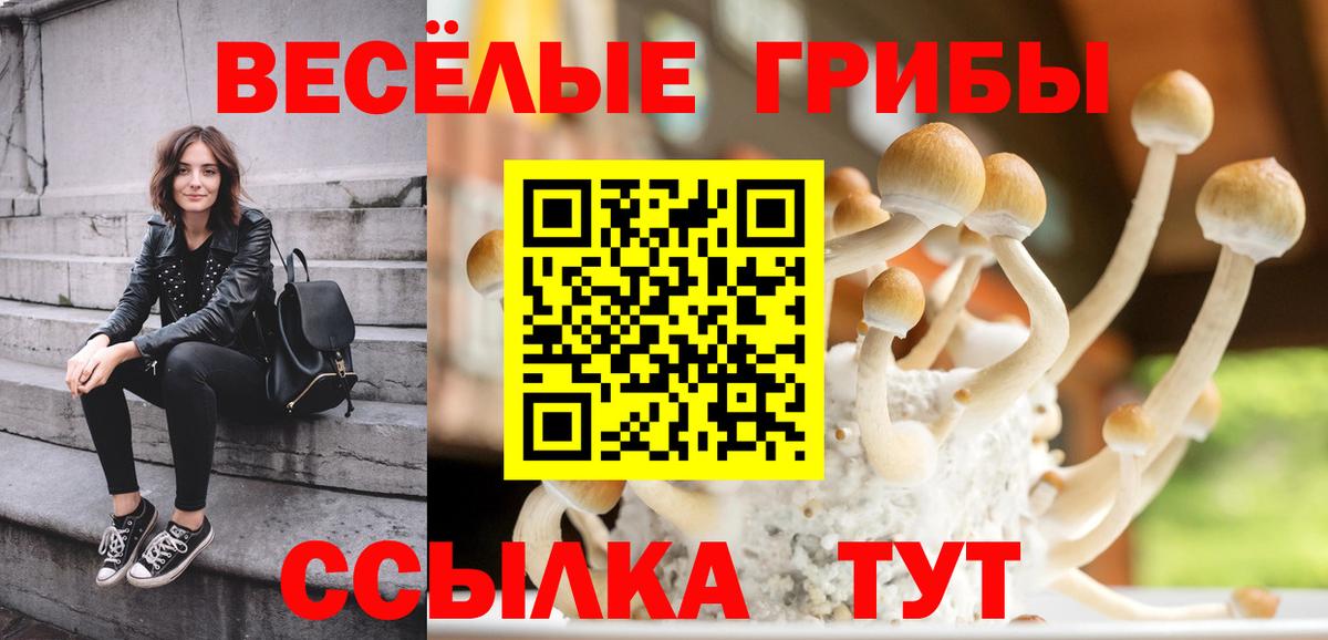Псилоцибиновые грибы Psilocybine cubensis  Псилоцибиновые грибы Cubensis  Вход с VPN  Черняховск 