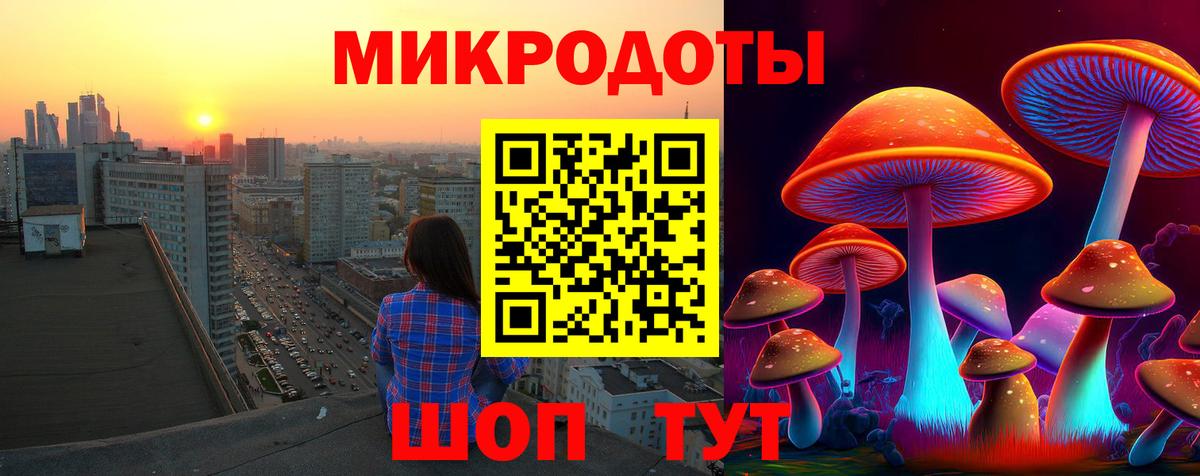 Галлюциногенные грибы прущие грибы Черняховск